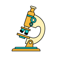 Evidence Over Assumptions